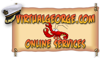virtualgeorge.com